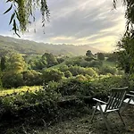 Willow Tree House - Hidden In The Perfect Place