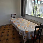 Primera Planta Completa, El Alamo