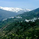 Casa Rural Cortijo El Potro