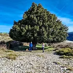 Cabaña en pleno parque natural del río mundo