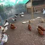 Ecologic Vinyols Camp