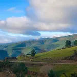 El Camino