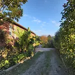 Apartamentos Rosa Jove