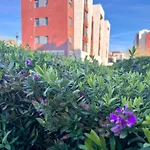 Apartamento Olmeca