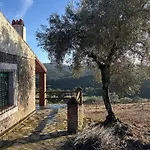 Casas Rurales Los Llanos