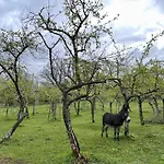 Pazo da Pena Manzaneda