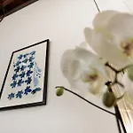 Hotel La Casa De Los Mosaicos