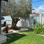 Villa Arbol Del Tule