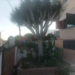 Casa Quico 2