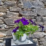 Apartamento turístico rural Casa Chaín