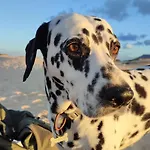 Alojamiento Fuerteventura Tikuna
