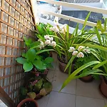 Vivienda Caseiro