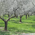 Ca\'N Josep