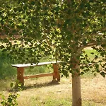 Masia El Carcabà - Molí del Pont.