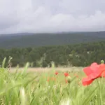 Apartamento Naturaleza