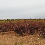 Casa Rural Sarmiento