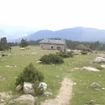 Fonda Domingo