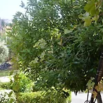 Casa La Almena