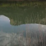 El Rincón Del Juez