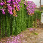 Hostal El Brezo