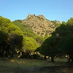 Los Niscalos