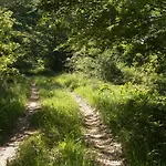 La Gándara