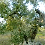 Casa Rural La Brena