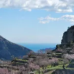 El Almendro y la Montaña