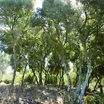 La Quinta De Maria Luisa