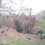 Casa Cecilia