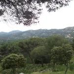 El Canto La Gallina