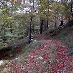 El Cerro