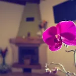 Casas los Cantores