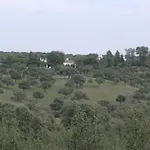 El Aleznal
