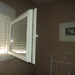 Apartamento Centro Jerez Carbon