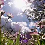 Albergue Finca El Mazo
