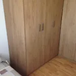 Homing Mollerussa 13