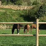 Casa Tia Upe
