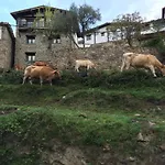 Casa Tia Upe