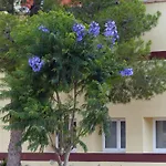 Finca San Agustín