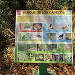 Islantilla Palo Verde 103