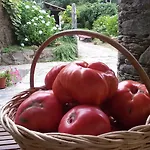 A Pena de Augasantas