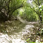 La Posada del Casar