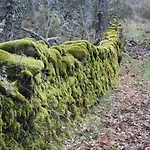 Apartamentos Sierra de Francia