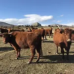 La Badila
