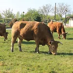 Agroturismo La Casa Vieja