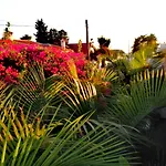 Malaga Beach Holidays