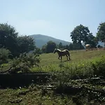 Pazo De Terrafeita