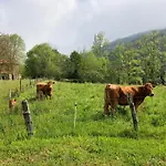 Hotel San Francisco Rural