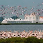 Albergue Delta